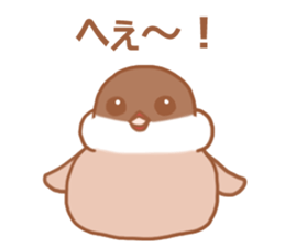 Lady cinnamon java sparrow Cinnamonchan2 sticker #15520602