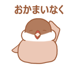 Lady cinnamon java sparrow Cinnamonchan2 sticker #15520604