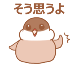 Lady cinnamon java sparrow Cinnamonchan2 sticker #15520605