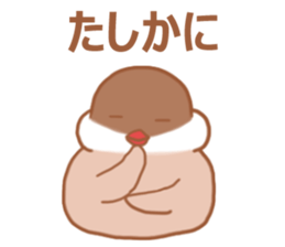 Lady cinnamon java sparrow Cinnamonchan2 sticker #15520607