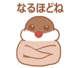 Lady cinnamon java sparrow Cinnamonchan2 sticker #15520609