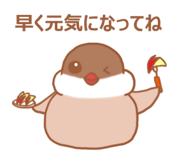Lady cinnamon java sparrow Cinnamonchan2 sticker #15520613