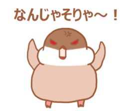 Lady cinnamon java sparrow Cinnamonchan2 sticker #15520615