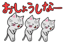 Cat speaks in YAMAGATA dialect. sticker #15521678
