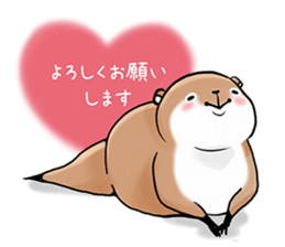 kotsume kawauso sizimi sticker #15522439