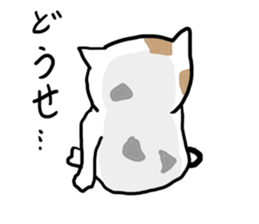 High tension low tension cat sticker #15522622