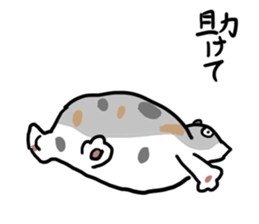 High tension low tension cat sticker #15522632