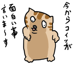 High tension low tension cat sticker #15522633