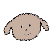 apricot toy poodle sticker #15522954