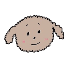 apricot toy poodle sticker #15522956