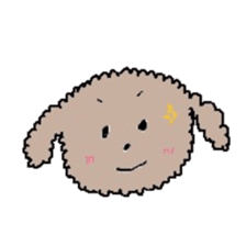 apricot toy poodle sticker #15522958