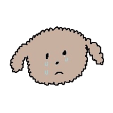 apricot toy poodle sticker #15522960