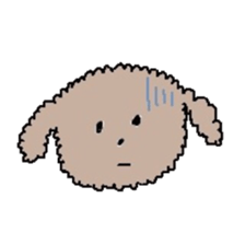 apricot toy poodle sticker #15522963