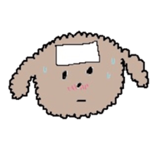 apricot toy poodle sticker #15522965