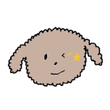 apricot toy poodle sticker #15522972