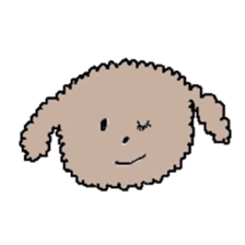 apricot toy poodle sticker #15522973