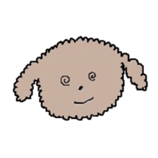 apricot toy poodle sticker #15522975