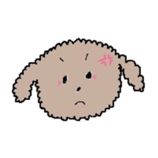 apricot toy poodle sticker #15522980