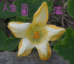 auspicious sticker #15523235