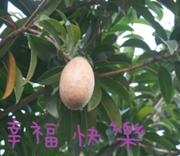 auspicious sticker #15523239