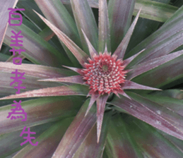 auspicious sticker #15523241