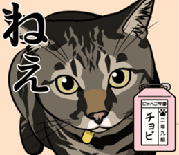 Nyanko school(PART13) sticker #15523490