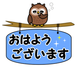 Black cat and owl sticker #15524459