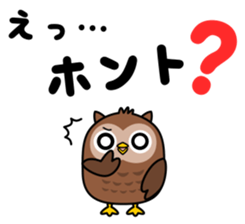 Black cat and owl sticker #15524488