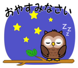 Black cat and owl sticker #15524497