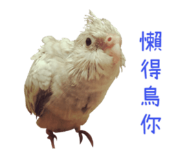 With your story sticker #15524570