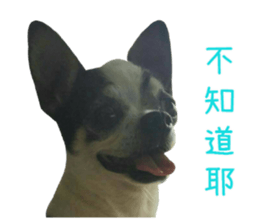 With your story sticker #15524571