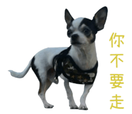 With your story sticker #15524572