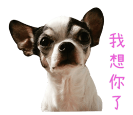 With your story sticker #15524573