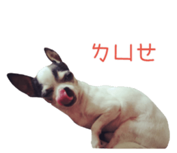 With your story sticker #15524574