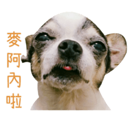 With your story sticker #15524575