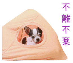 With your story sticker #15524576