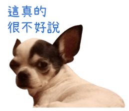 With your story sticker #15524577