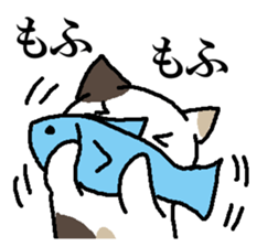 A cat, fully. sticker #15526560