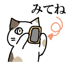 A cat, fully. sticker #15526566