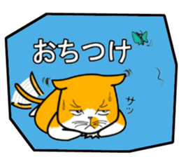 boxca t sticker #15526747