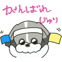 Juri sents sticker sticker #15527037