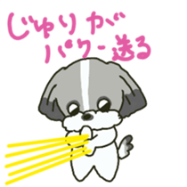 Juri sents sticker sticker #15527038