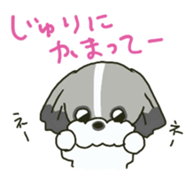 Juri sents sticker sticker #15527044