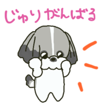 Juri sents sticker sticker #15527049