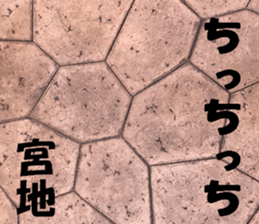 Miyaji's sticker sticker #15527785