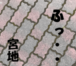 Miyaji's sticker sticker #15527787