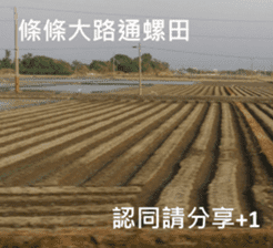 What a Wonderful Day _ Daydream sticker #15528251