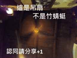 What a Wonderful Day _ Daydream sticker #15528252