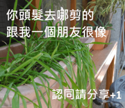 What a Wonderful Day _ Daydream sticker #15528261