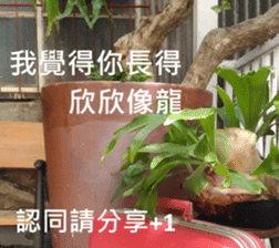 What a Wonderful Day _ Daydream sticker #15528266